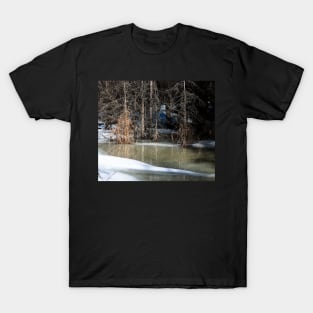 Seasonal melt in the woods T-Shirt